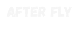 Restaurant After Fly